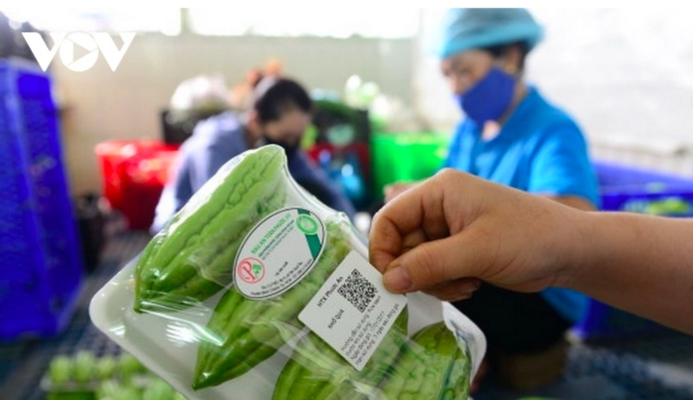 Kết nối dữ liệu là "nút thắt" lớn nhất của Đề án 100 trong truy xuất nguồn gốc